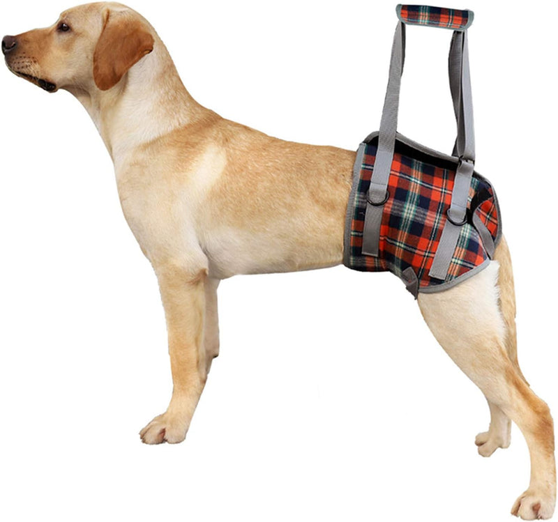 BIGNADO Dog Lifting Harness Hind Legs Support Dog Portable Recovery Walking Training Lift Support Strap with Handle for Old Injured Red X-LARGE - PawsPlanet Australia