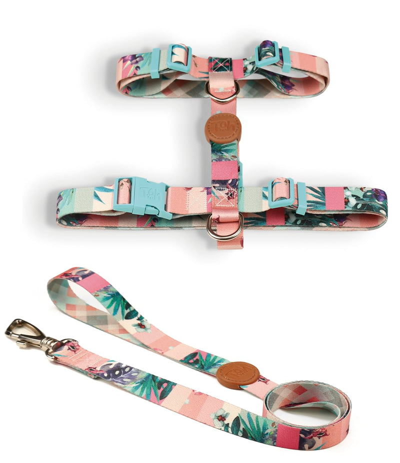Dog Harness and Leash Set, Stylish Design Pet Harness Set with Adjustable Straps, Easy to Use and Comfortable Cat Harness and Leash, Perfect for Pets Training Outdoor Walking (Laguna, XSmall) Laguna - PawsPlanet Australia