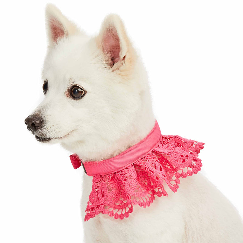 Blueberry Pet Floral Lace Adjustable Dog Collar in French Pink with Metal Buckle, Neck 13-16.5", for Medium Breed - PawsPlanet Australia