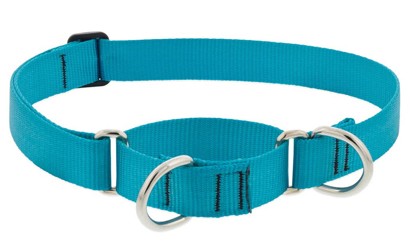 Lupine Martingale Dog Collar 1" Wide Aqua adjusts 15" to 22" 1" wide; adjusts 15"-22"