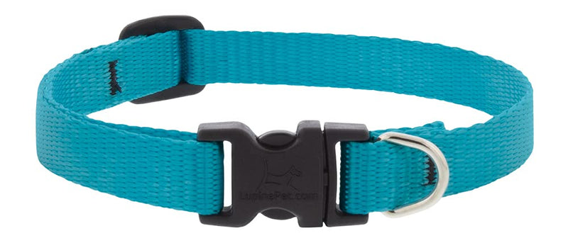 Lupine Small Dog Collar 1/2" Wide Aqua adjusts 10-16" Long 1/2" wide; adjusts 10"-16" - PawsPlanet Australia