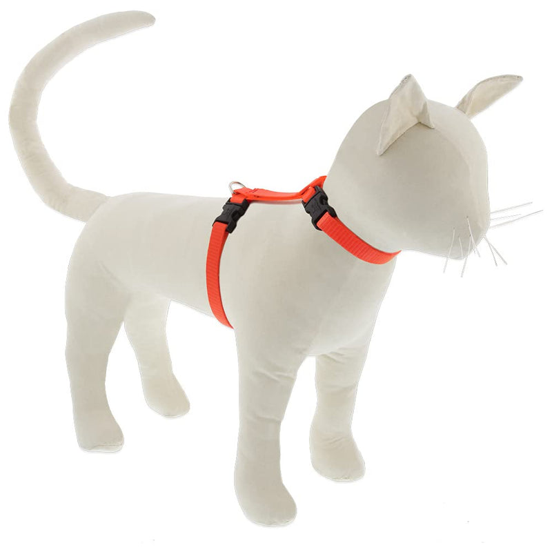 Lupine Cat and Small Pet H-Style Harness 1/2" Wide Blaze Orange with 12" to 20" Adjustable Girth 1/2" wide; girth adjusts 12"-20"