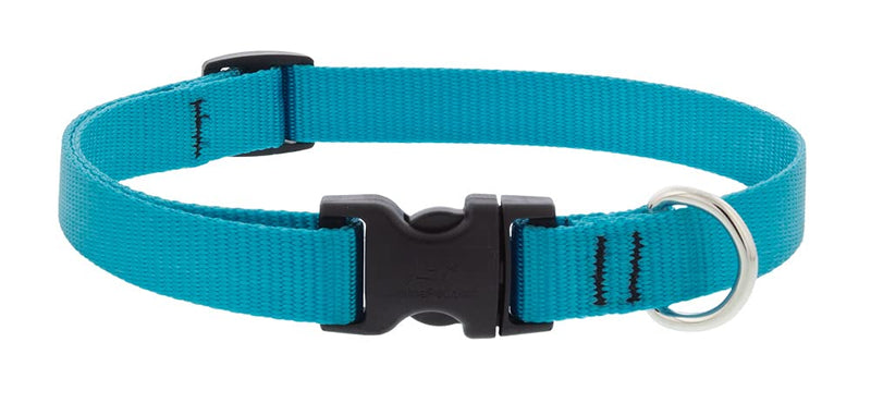 Lupine Dog Collar 3/4" Wide Aqua adjusts 13-22" Long 3/4" wide; adjusts 13"-22" - PawsPlanet Australia