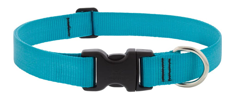 Lupine Dog Collar 1" Wide Aqua adjusts 16-28" Long 1" wide; adjusts 16"-28" - PawsPlanet Australia