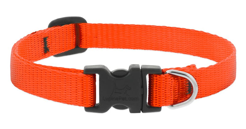 Lupine Small Dog Collar 1/2" Wide Blaze Orange adjusts 10-16" Long 1/2" wide; adjusts 10"-16"