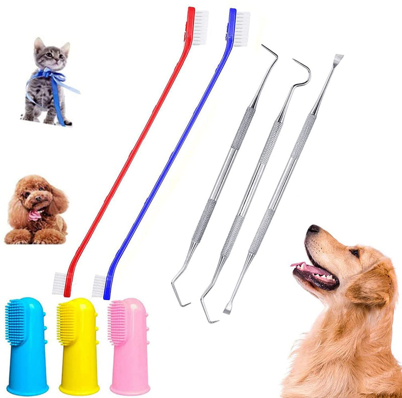 QeeHeng 8 Pack Dog Teeth Cleaning Tools Plaque Remover, Dog Tooth Brushing Kit Include 3 Different Stainless Steel Dog Tooth Scraper and 2 Dog Toothbrush and 3 Dog Finger Toothbrush 8 Piece Set - PawsPlanet Australia