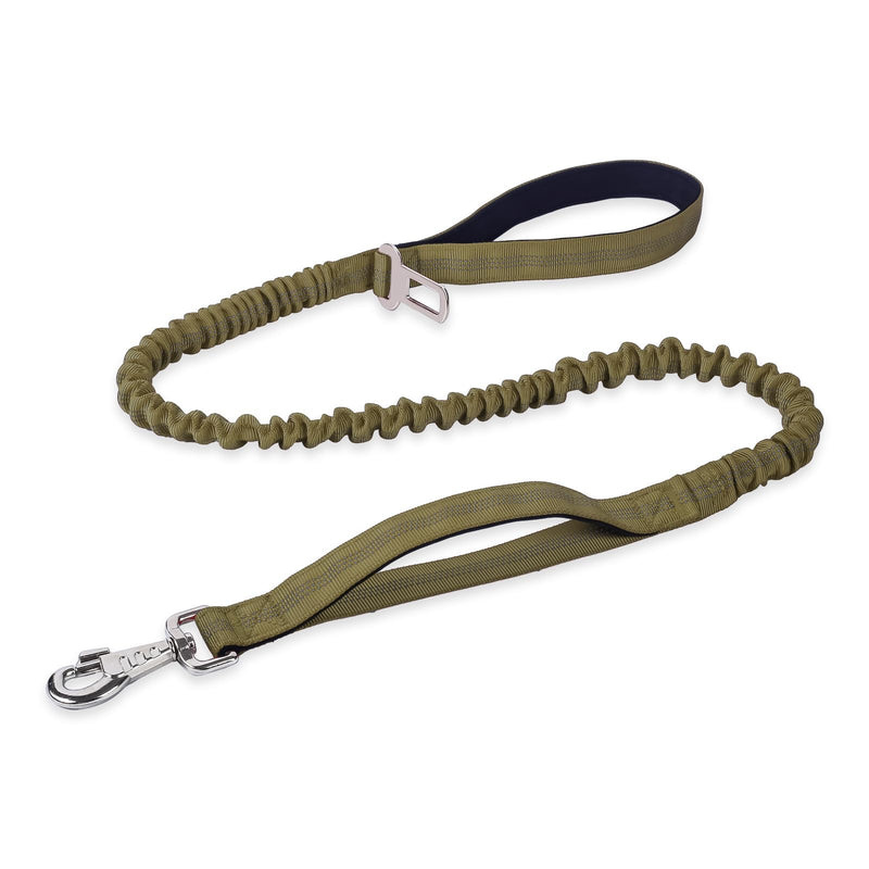 BUMBIN 6Ft Dog Leash, Bungee Dog Leash with 2 Handles, Heavy Duty Leashes for Medium Small Dogs, No Pull Shock Absorbing with Car Seat Belt for Training, Green - PawsPlanet Australia