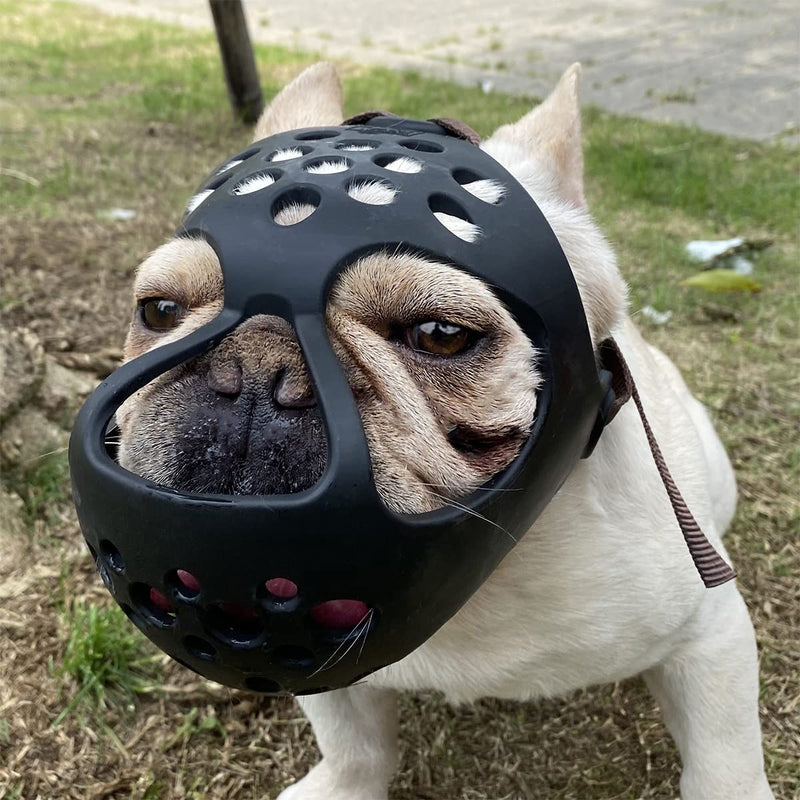 BARKLESS Short Snout Dog Muzzle, Soft Silicone Flat Faced Muzzle for French Bulldog Shih Tzu and Pug for Biting Chewing Licking and Grooming, Allows Panting Black M（Head 13½-15½"） - PawsPlanet Australia