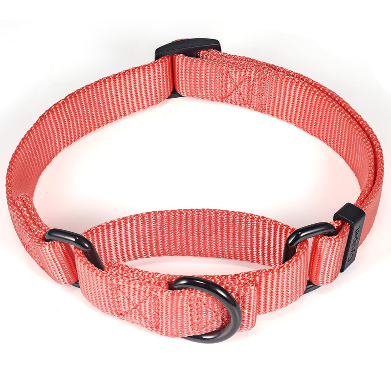 Premium Nylon Adjustable Anti-Escape Martingale Dog Collars,Durable,Comfort and Silky Dog Collar with Hardware D-Ring for Large Dogs Walking,Training,etc...(Living Coral, Large) Living Coral - PawsPlanet Australia
