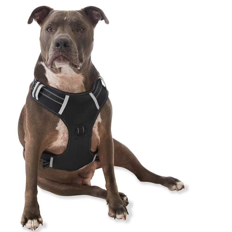 Padded Comfort Harness with No Pull Design for Small Dogs, Medium Dogs and Big Dogs (Large, Black) Large - PawsPlanet Australia