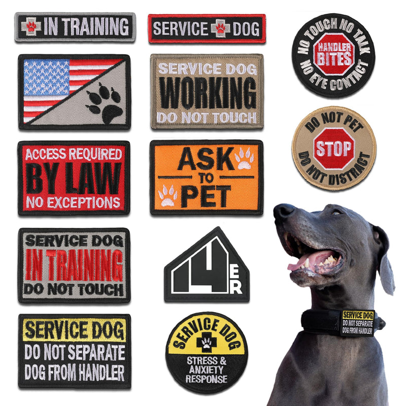 Service Dog Patches | Ask to Pet Service Dog in Training Patches for Vests, Collars and Harness (12-Pack) Regular Assorted - PawsPlanet Australia