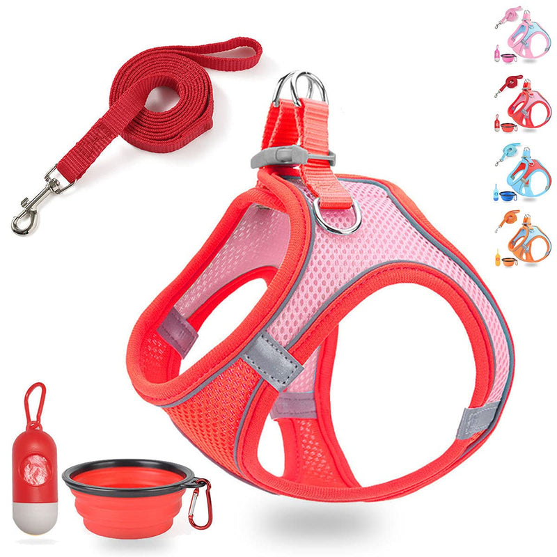 Small Dog Harness,Puppy Harness and Leash Set for Walking Escape Proof,Comfortable Air Mesh Dog Vest Harness with Reflective Strip, Step-in Outdoor Pet Vest for Dog Breeds Large (Pack of 1) Red/Pink - PawsPlanet Australia