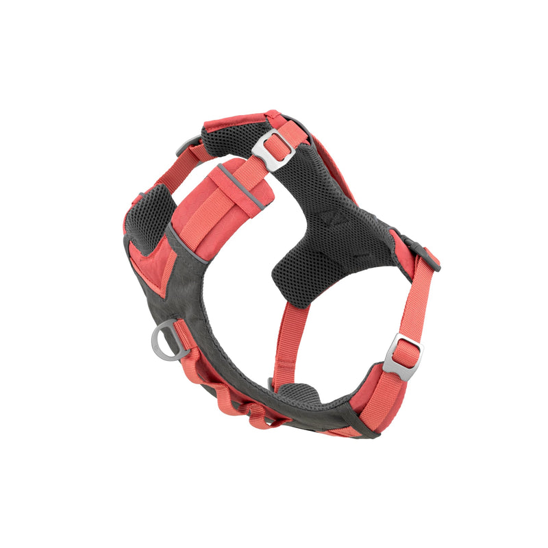 Kurgo Journey Air Dog Harness - Secure Fit for Active Dogs - Padded Chest - Lightweight Ripstop Fabric - Breathable Mesh - Reflective Trim - Back Assist Handle - Coral - Large
