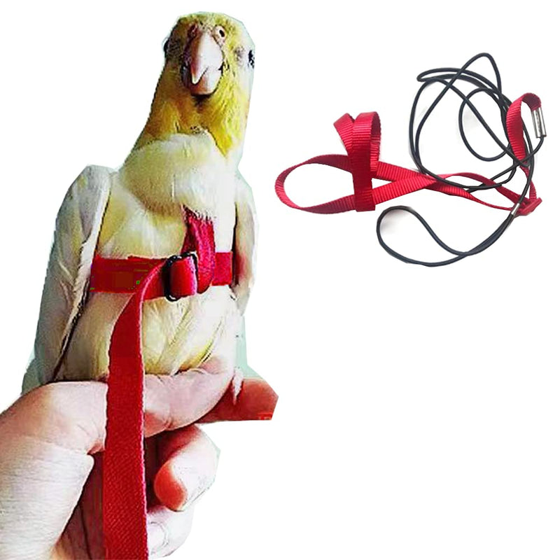 Adjustable Birds Harness and Leash Parrot Harness Leash Training Supplies Pet Anti-bite Outdoor Flying Rope for Conures Budgerigar Lovebird Cockatiel Mynah (S, Red) Small - PawsPlanet Australia