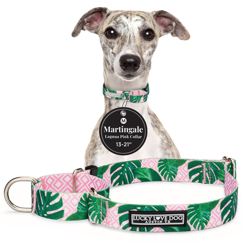 Lucky Love Dog Martingale Dog Collar - Adjustable, No-Slip, Comfortable, Durable, Soft Webbing & Stylish Patterned Collar for Male and Female Dogs Ideal for Training & Walking - Laguna, Medium Medium Collars (13-21") - PawsPlanet Australia