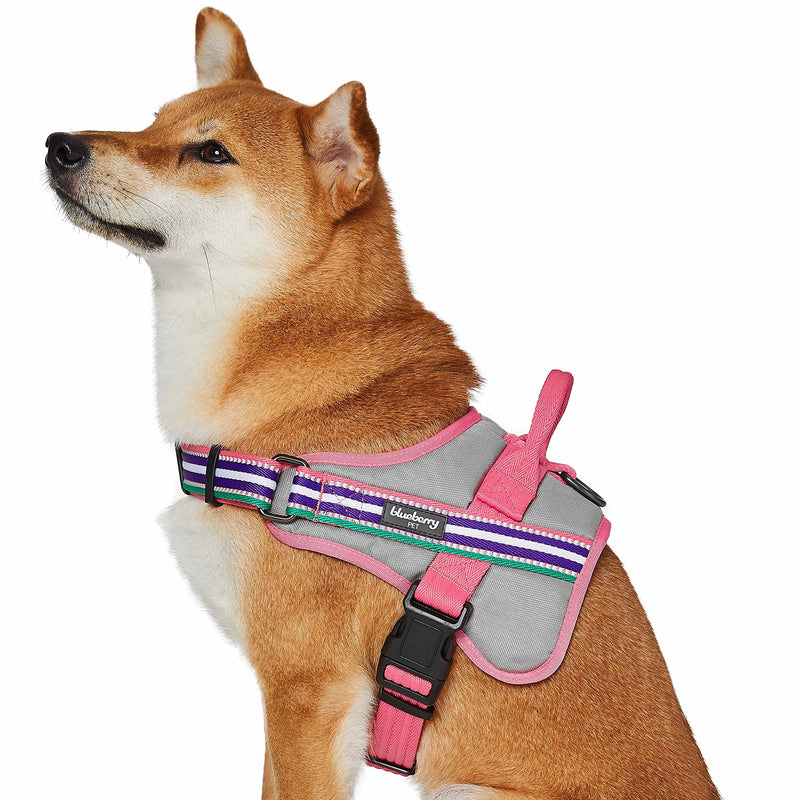 Blueberry Pet Pink Dog Harness - Award Winning Medium Sized No Pull Dog Harness with Handle, Reflective Vest for Safety-Conscious Urban & Outdoor Enthusiasts, 3M Night Visibility Emerald,Orchid and Pink - PawsPlanet Australia