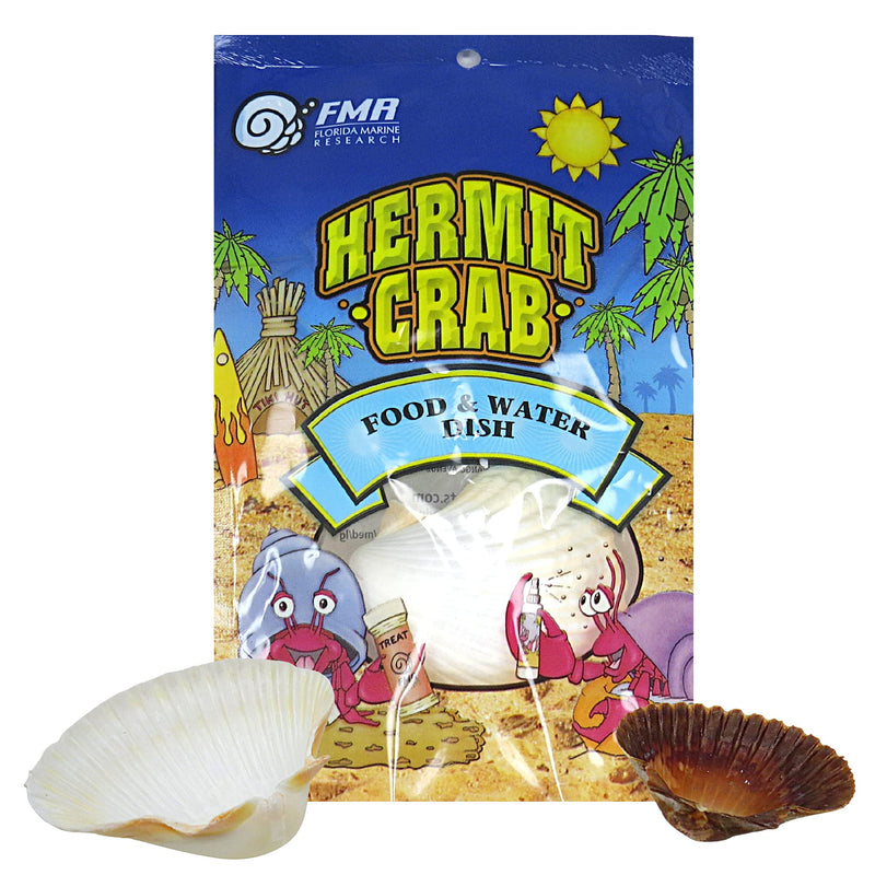 Hermit Crab Habitat Supplies Pack of Two Seashell Food and Water Bowls, Reptile DIY Terrarium Kit Necessities, 3.75 and 2.25 Inches
