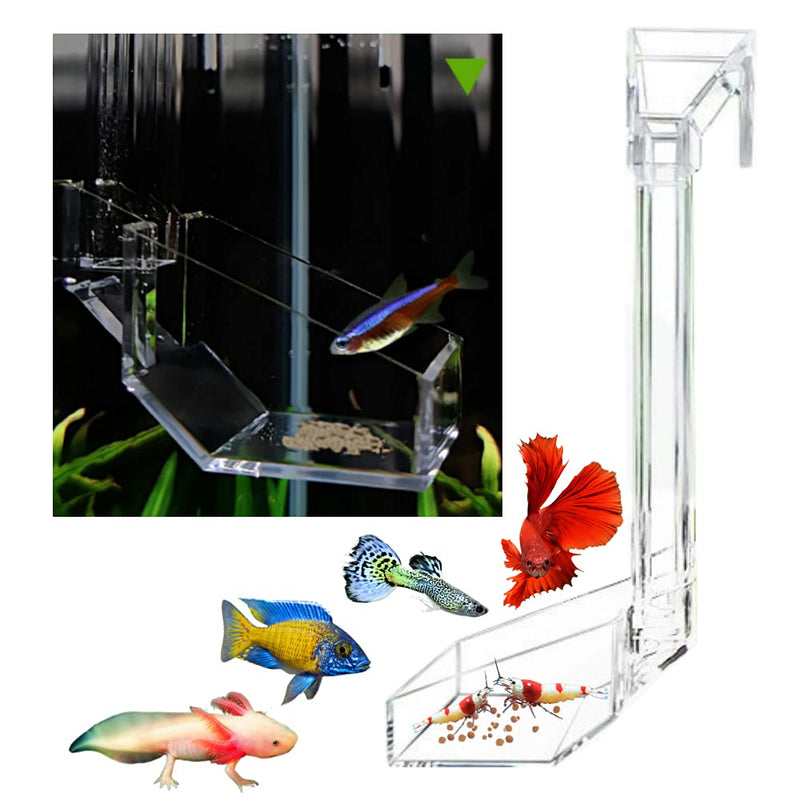Shrimp Fish Feeding Dish, Aquarium -Sky Restaurant- Betta Feeding - Prevent Food Spilling, Fish Feeder, Also Easy to Clean Up The Food Left Over, African Feeding, Dwarf Frogs Feeding S - PawsPlanet Australia