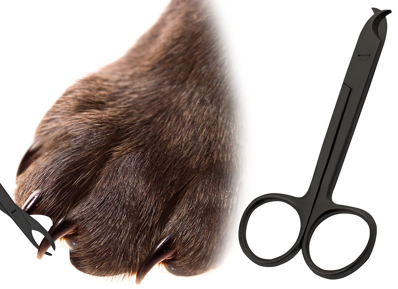 Pet Nail Clippers for Small Animals - Best Cat Nail Clippers & Claw Trimmer for Home Grooming Kit - Professional Grooming Tool for Tiny Dog Cat Bunny Rabbit Bird (Black) - PawsPlanet Australia