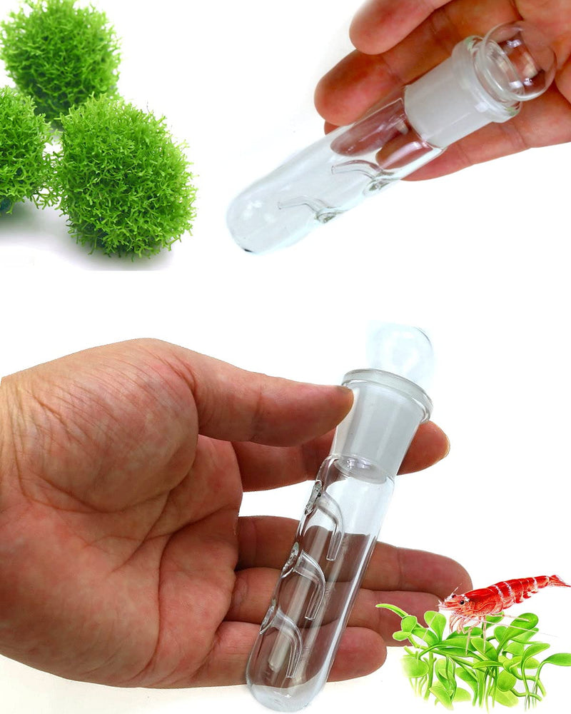 Planaria Trap Crystal Red Shrimp Tank Aquarium Bristle Worm Catcher, Shrimp Dwarf Shrimp Ghost Shrimp Live Freshwater Cleaning Supplies Clear Glass Leeches Catching Tube (3 Holes) - PawsPlanet Australia