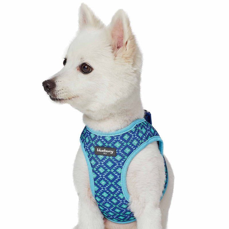Blueberry Pet Southwestern Tribal Lozenges Stylish Green Dog Harness Vest, XS, Adjustable Harnesses for Puppies Small Dogs (15 1/2"-16 1/2") Chest Girth (Pack of 1) - PawsPlanet Australia