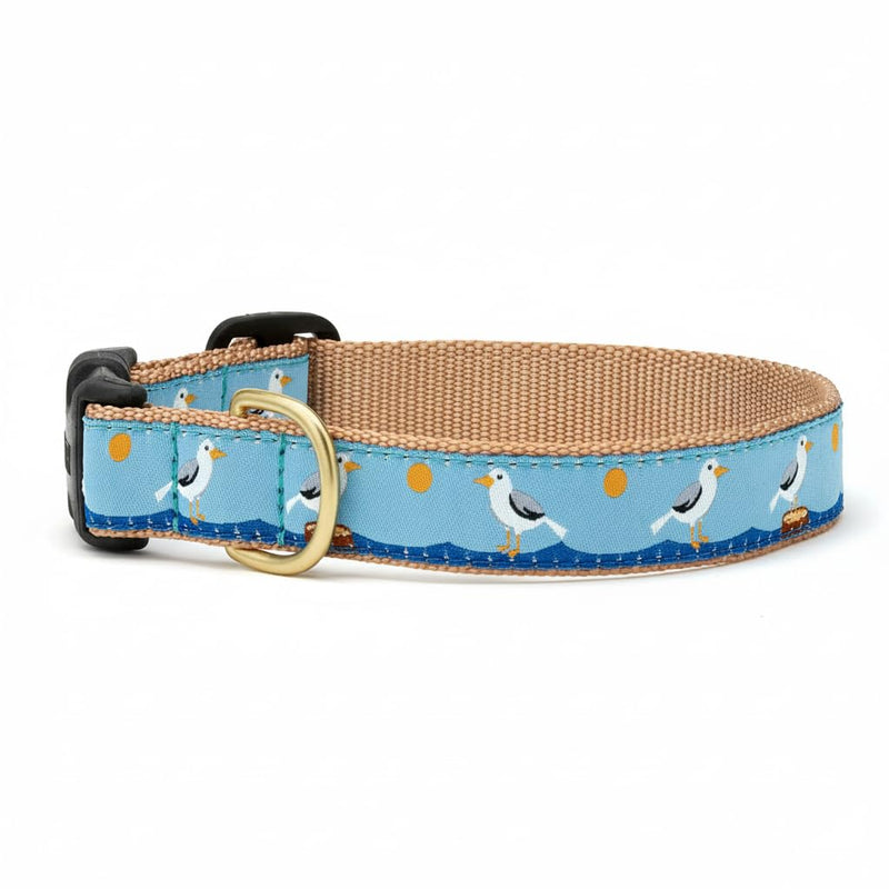Up Country Gull Watch Dog Collar, Small (9 to 15 inches) 1 inch Wide Width - PawsPlanet Australia