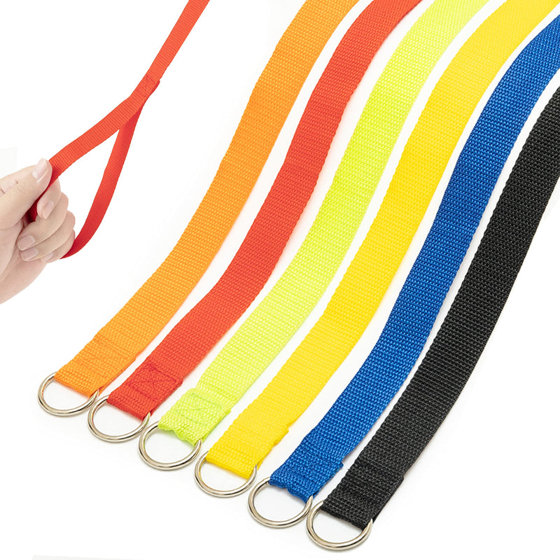 PETPMEEE Slip Lead Dog Leash, 6 FT Short Dog Leash with O-Ring for Walking Rescues Training Running Grooming Shelter, Strong Dog Leashes Control Small Meidum Large Dogs / Puppy 6 pack - PawsPlanet Australia