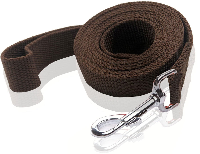 Nylon Dog Leash 10 Feet Long, Walking Training Dog Leashes for Medium Large Dogs, 1 Inch Wide (Brown) Brown - PawsPlanet Australia