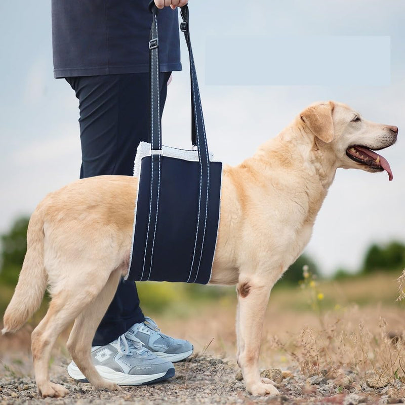 HeoBam Dog Portable Lift Harness Support Sling/Old Dogs/Assisted Rehabilitation Rear Legs Walking Aid/Help Relieve The Joint Damage and Arthritis Caused by The Loss of ACL/Adjustable/Black Medium - PawsPlanet Australia