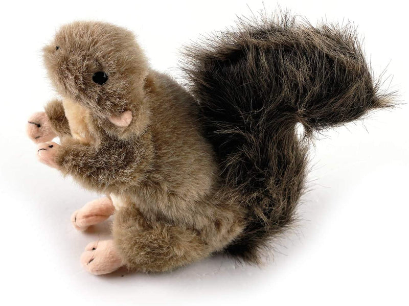 ALL FOR PAWS Squeaky Dog Toys,Animal Plush Dog Toy,Stuffed Dog Toys,Puppy Toys for Teething Small Dogs Classic Squirrel(S) - PawsPlanet Australia