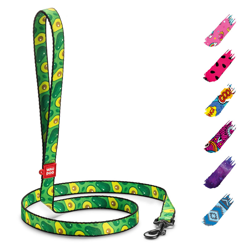 WAUDOG Nylon Dog Leash for Small & Medium Dogs - 4 Ft Heavy Duty Leash for Large Breeds 4 Ft x 3/5" Wide Avocado - PawsPlanet Australia