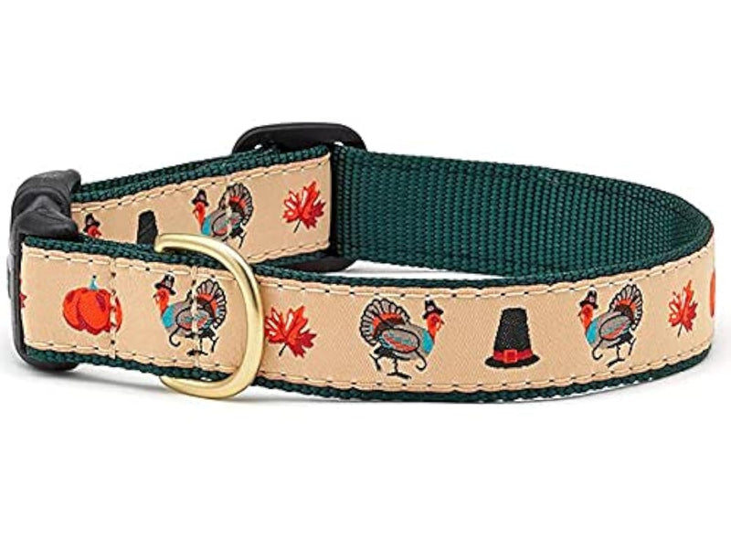 Collar | Turkey Trot - PawsPlanet Australia