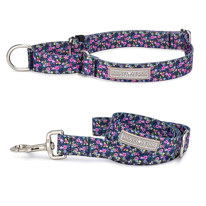 Lucky Love Dog Martingale Collar Leash Set, Premium No Slip Collar, Great for Whippets, Greyhounds, and More (Primrose, Large) - PawsPlanet Australia