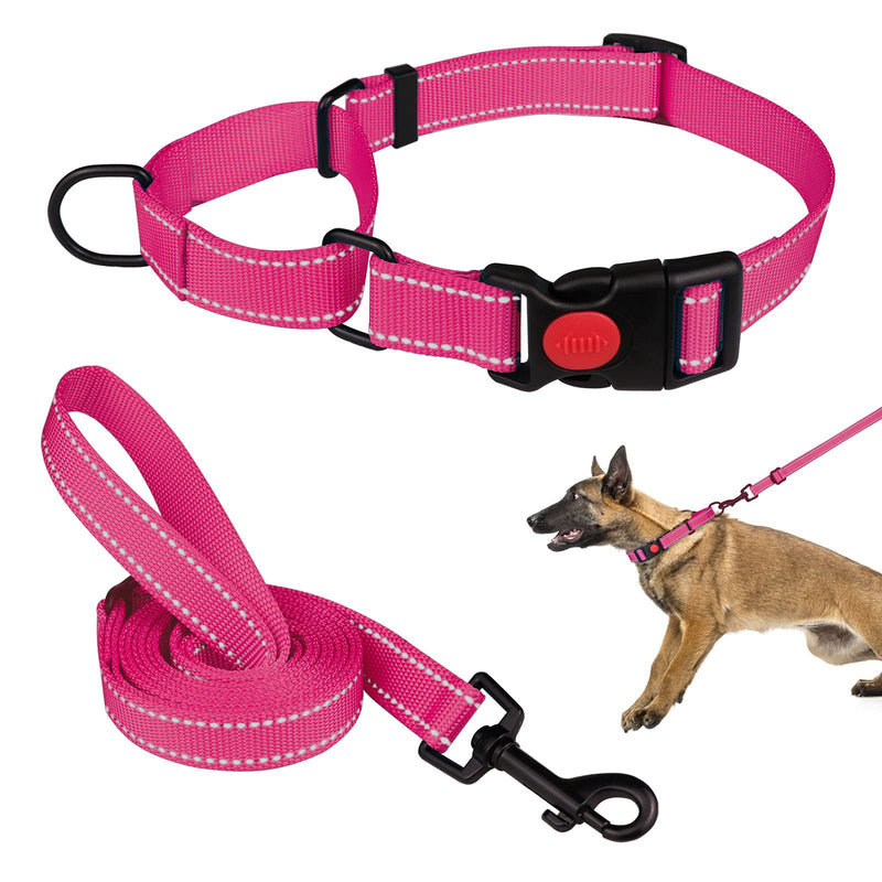 Martingale Dog Collar and Leash Set Martingale Collars for Dogs Reflective Martingale Collar for Small Medium Large Dogs(Hot Pink&L) L Hot Pink - PawsPlanet Australia