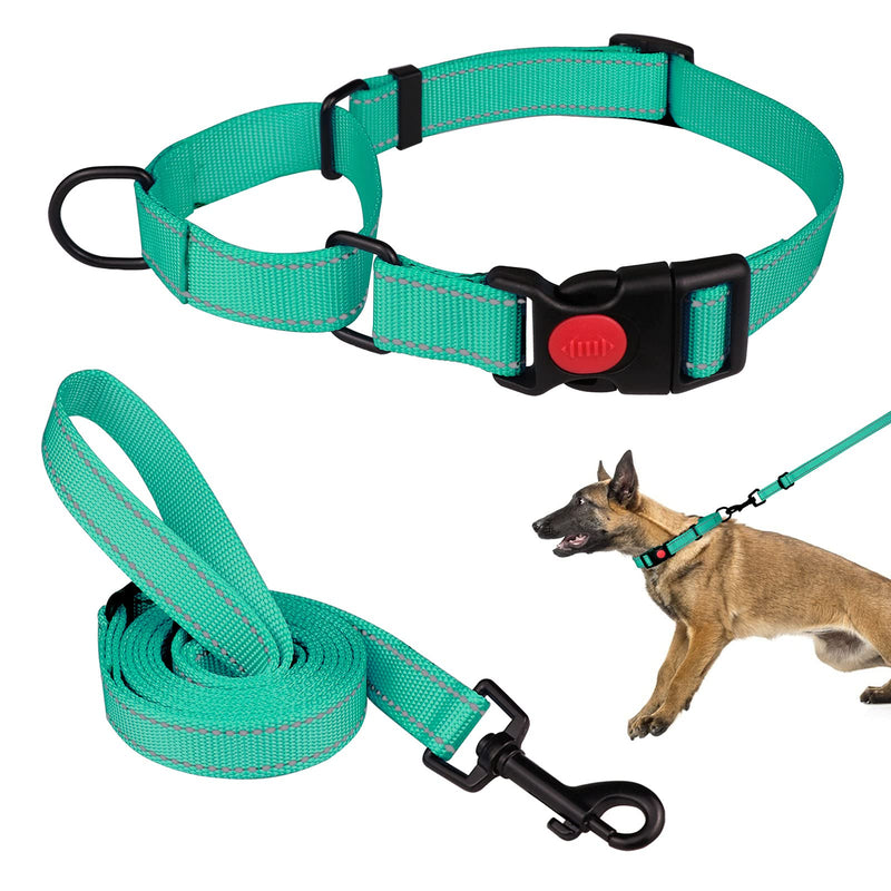 Martingale Dog Collar and Leash Set Martingale Collars for Dogs Reflective Martingale Collar for Small Medium Large Dogs(Mint Green&L) L Mint Green - PawsPlanet Australia