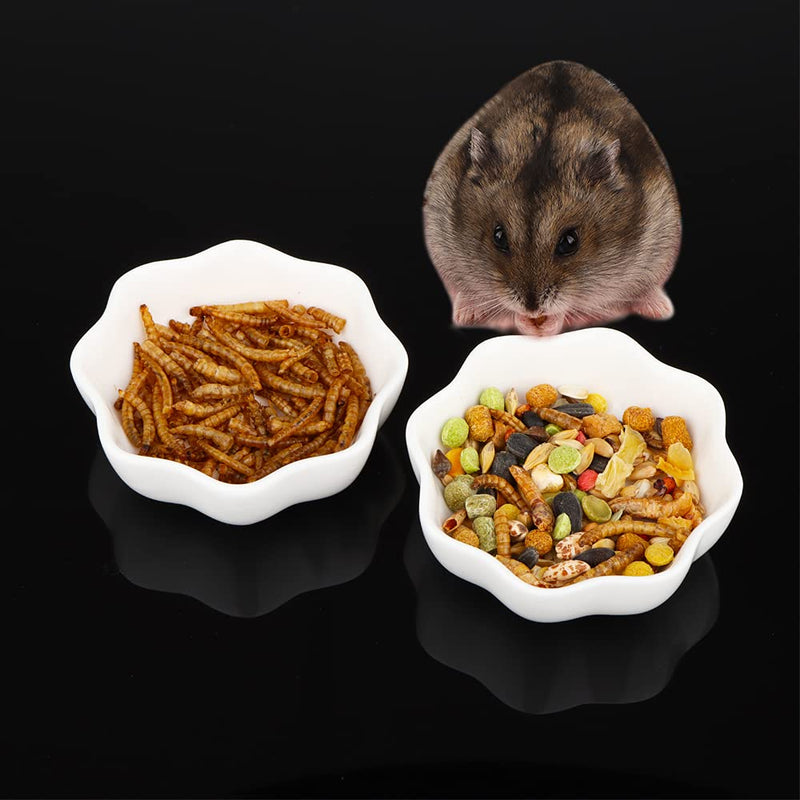 2 Pcs Ceramic Hamster Bowl, Small Animal Anti-Turnover Food Bowl and Water Dish Feeder for Dwarf Hamster Mouse Chinchilla Rat Gerbil (White) - PawsPlanet Australia