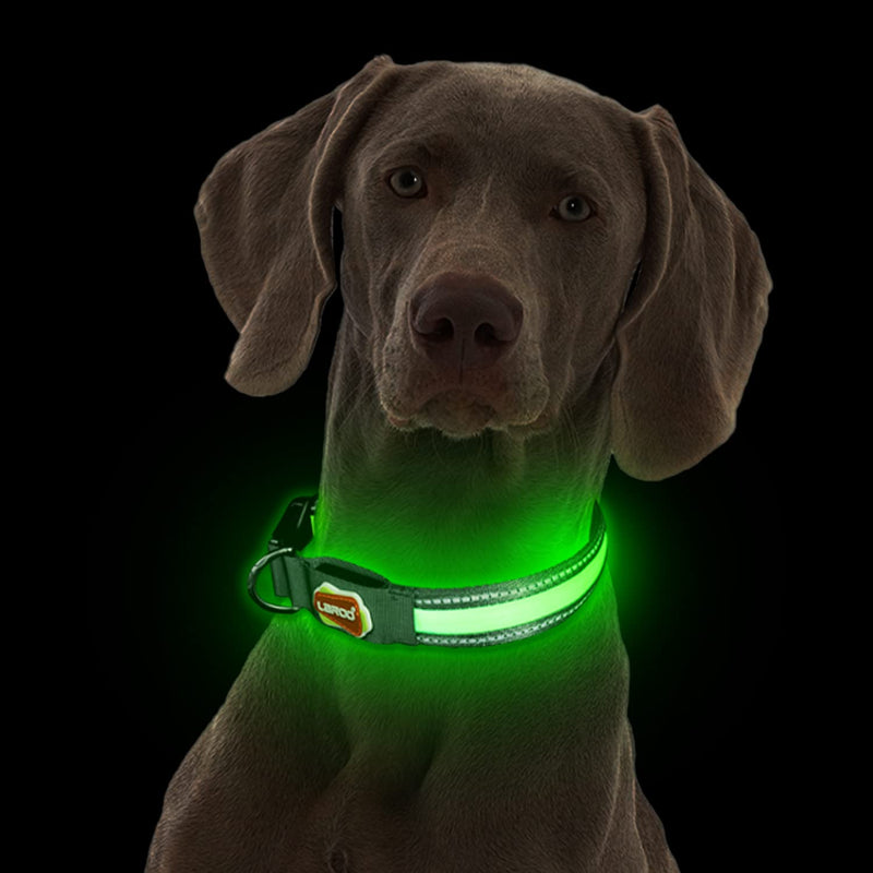 LaRoo LED Dog Collar, Rechargeable Nylon Light Up Dog Collars, Adjustable Glowing Pet Led Collars for Small Medium Large Dogs Night Visible