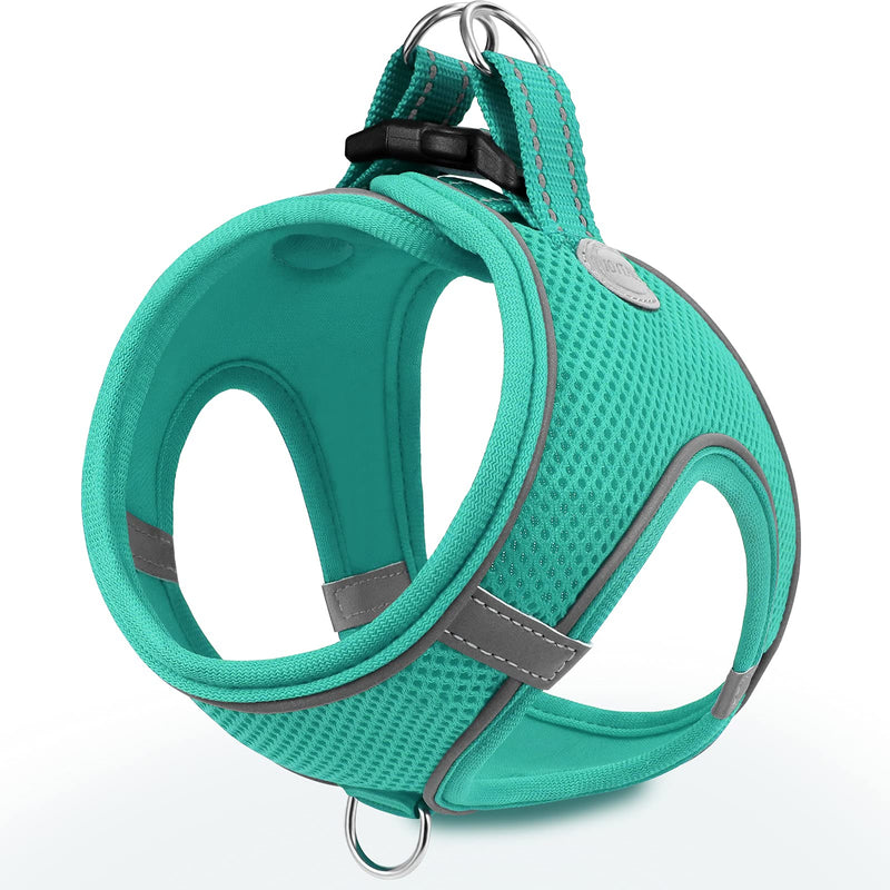 Joytale Small Dog Harness, Breathable Mesh Step-in Vest, Reflective Soft Padded Harnesses Small Sized Dog for Walking, Teal, S S--Chest: 15-16.5'' - PawsPlanet Australia