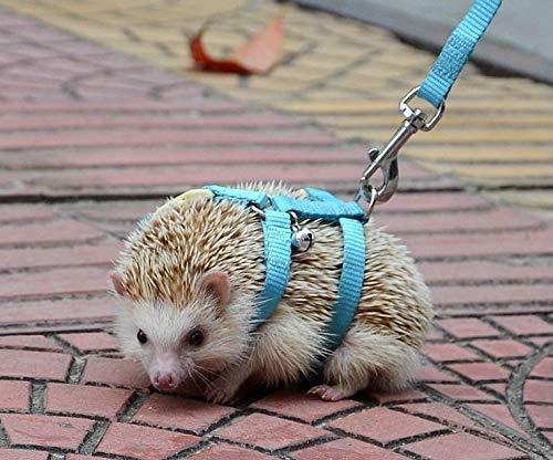 Adjustable Small Pet Hedgehog Harness for Training Playing Traction Rope (Blue) Blue - PawsPlanet Australia