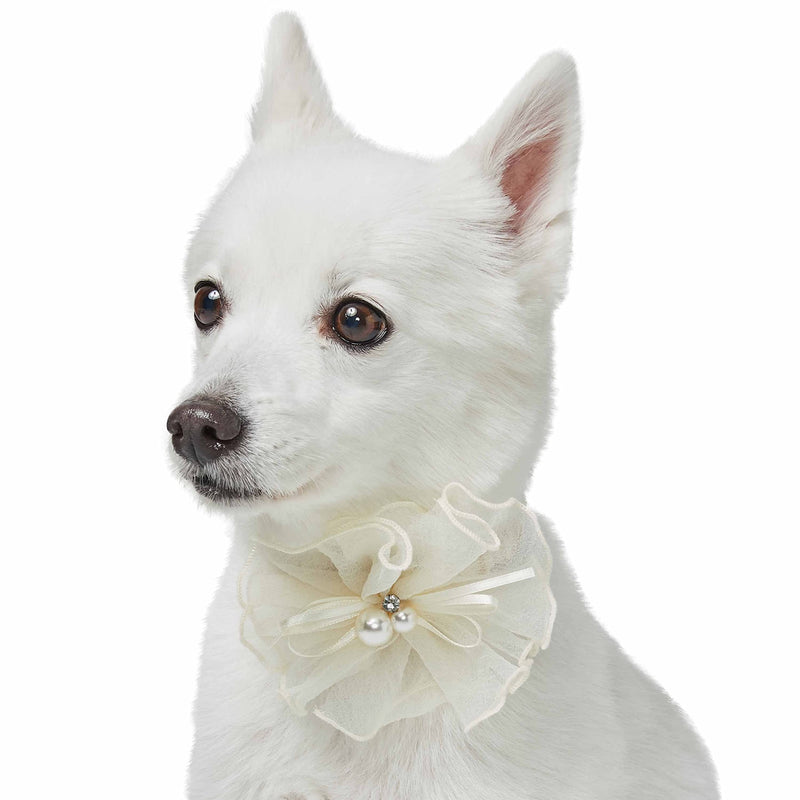 Blueberry Pet Dog of Honor Wedding Collar, Medium, Elastic Breakaway Quick Release Dog Cat Collar with Flower Medium: 19.8" Neck * 3/8" Wide - PawsPlanet Australia