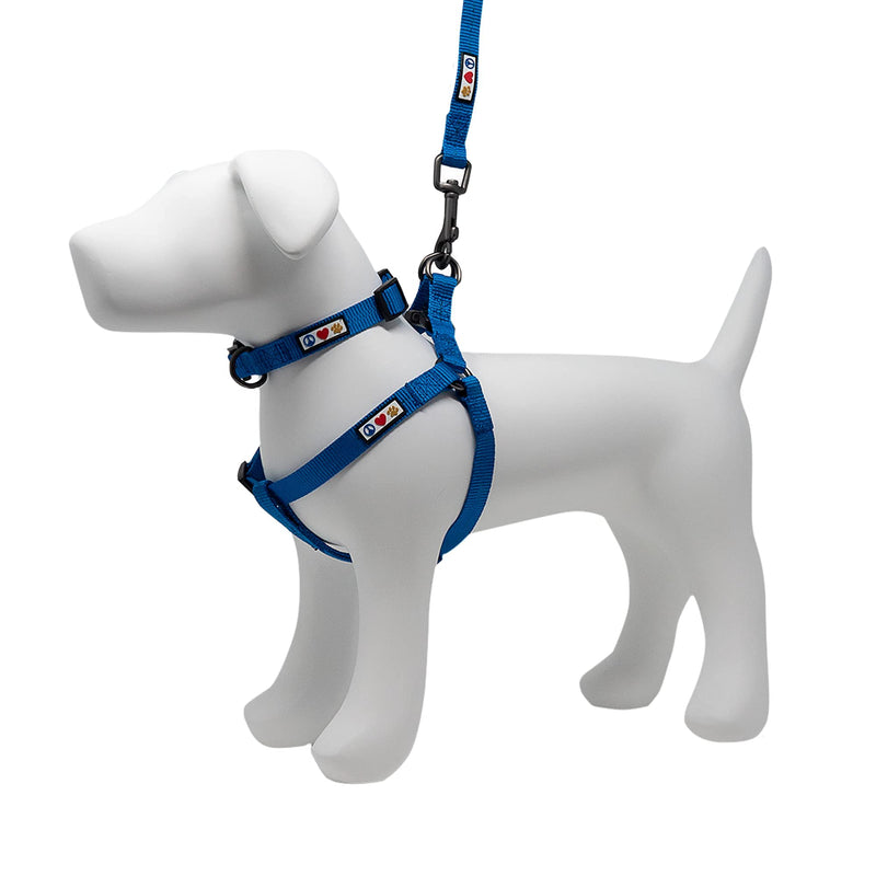 Pawtitas Value Bundle Set | Extra Small Step in Dog Harness + Extra Small Dog Collar + Extra Extra Small 6ft Dog Leash - Blue Set - PawsPlanet Australia
