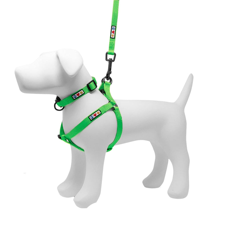 Pawtitas Value Bundle Set | Extra Small Step in Dog Harness + Extra Small Dog Collar + Extra Extra Small 6ft Dog Leash - Green Set - PawsPlanet Australia