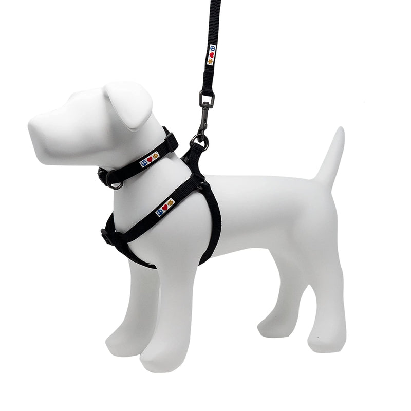 Pawtitas Value Bundle Set | Extra Small Step in Dog Harness + Extra Small Dog Collar + Extra Extra Small 6ft Dog Leash - Black Set