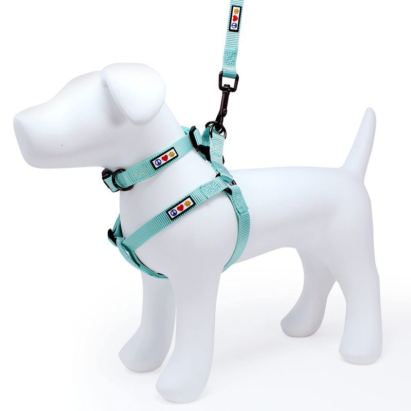 Pawtitas Value Bundle Set | Small Step in Dog Harness + Small Dog Collar + Extra Small/Small 6ft Dog Leash - Teal Set - PawsPlanet Australia