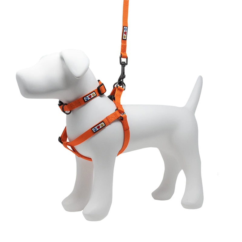 Pawtitas Value Bundle Set | Small Step in Dog Harness + Small Dog Collar + Extra Small/Small 6ft Dog Leash - Orange Set - PawsPlanet Australia