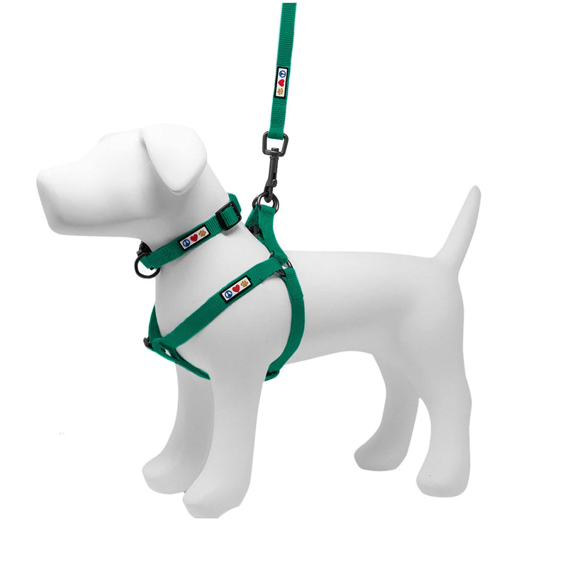 Pawtitas Value Bundle Set | Medium Step in Dog Harness + Medium Dog Collar + Medium/Large 6ft Dog Leash - Lush Green Set - PawsPlanet Australia