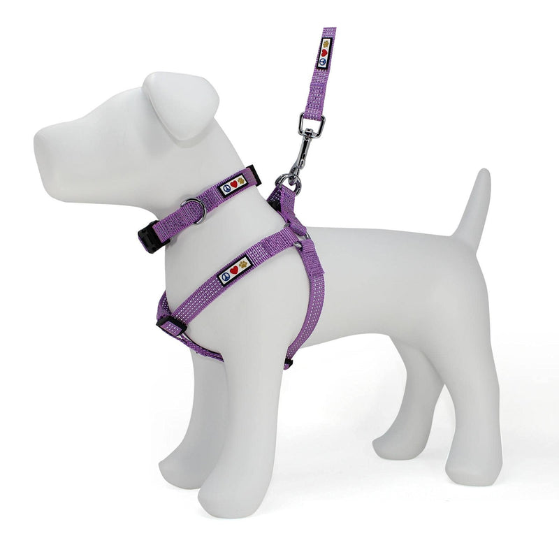 Pawtitas Value Bundle Set | Extra Small Reflective Dog Harness + Extra Small Reflective Dog Collar + Extra Small Reflective Dog Leash – Orchid Set - PawsPlanet Australia