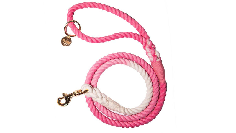 Glow Pups Rope Dog Leash with Durable Braided Design, Stylish Ombre Pattern, and Rustproof Swivel Hook, 5 Foot Long, Hand-Crafted, Ideal for Medium and Large Dogs (Pink) Pink - PawsPlanet Australia