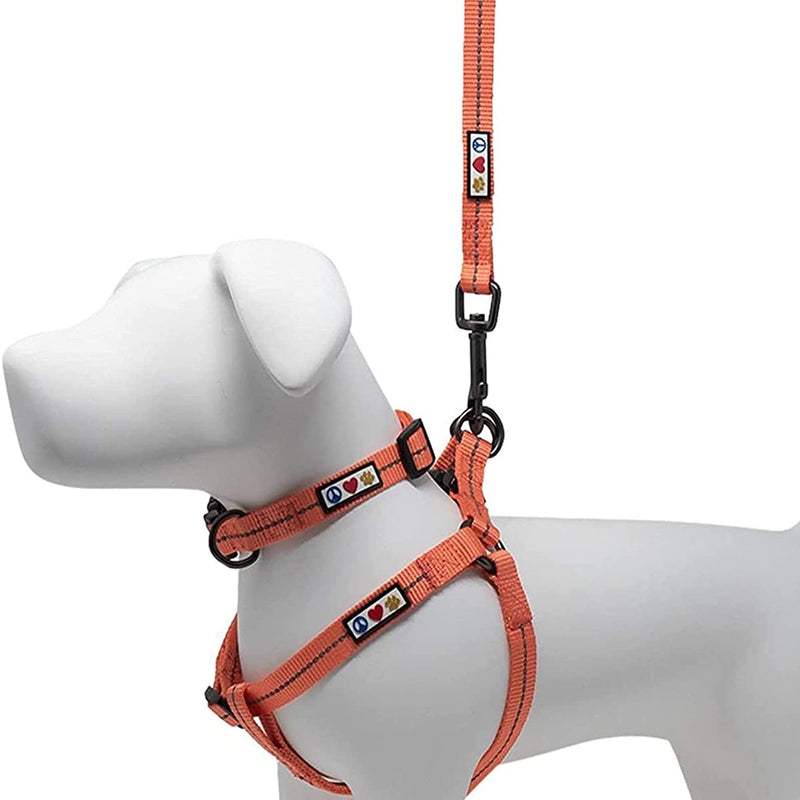 Pawtitas Value Bundle Set | Small Reflective Recycled Dog Harness + Small Reflective Recycled Dog Collar + Extra Small/Small Reflective Recycled Dog Leash – Coral Set - PawsPlanet Australia