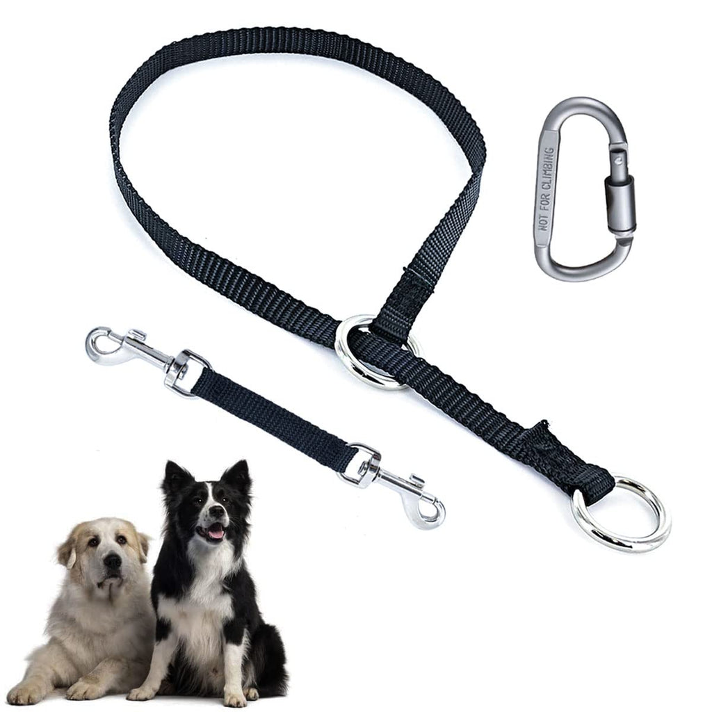 Mayerzon Backup Collar, Nylon Slip Collar with Double Ended Clip and Carabiner for Prong Collar, Dog Training Spare Set for Safety Walking Medium,19.7in,Neck 14-18in